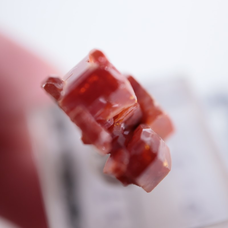 ����å������Хʥǥ��ʥ���