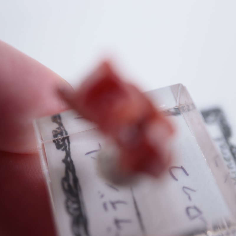 ����å������Хʥǥ��ʥ���