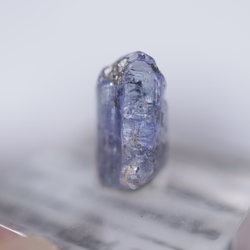 ���󥶥˥��������󥶥ʥ���