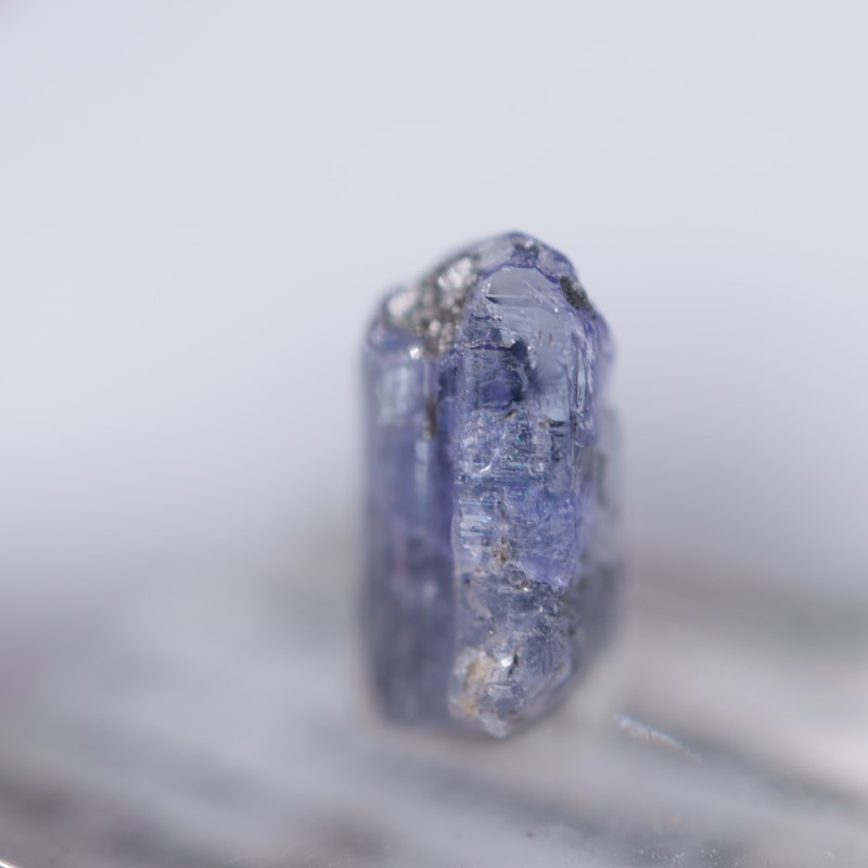 ���󥶥˥��������󥶥ʥ���