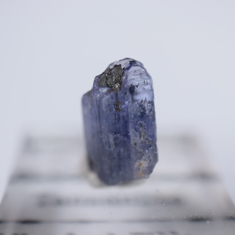 ���󥶥˥��������󥶥ʥ���