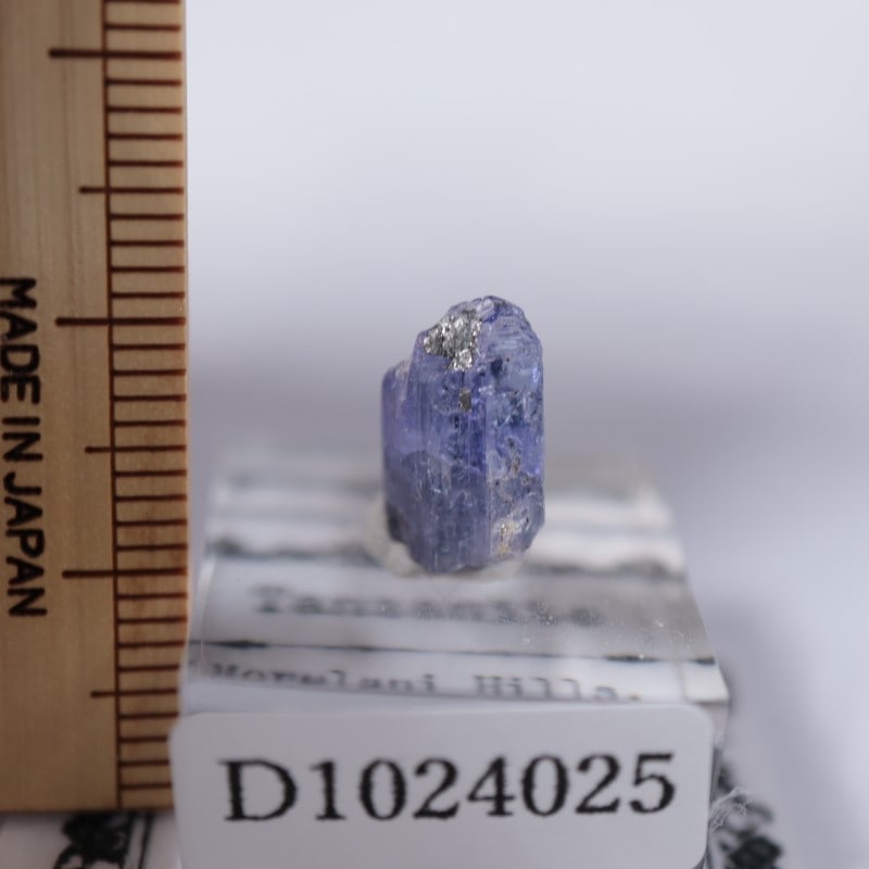 ���󥶥˥��������󥶥ʥ���