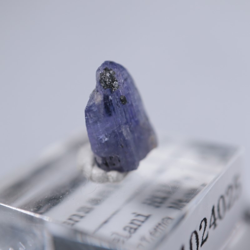 ���󥶥˥��������󥶥ʥ���