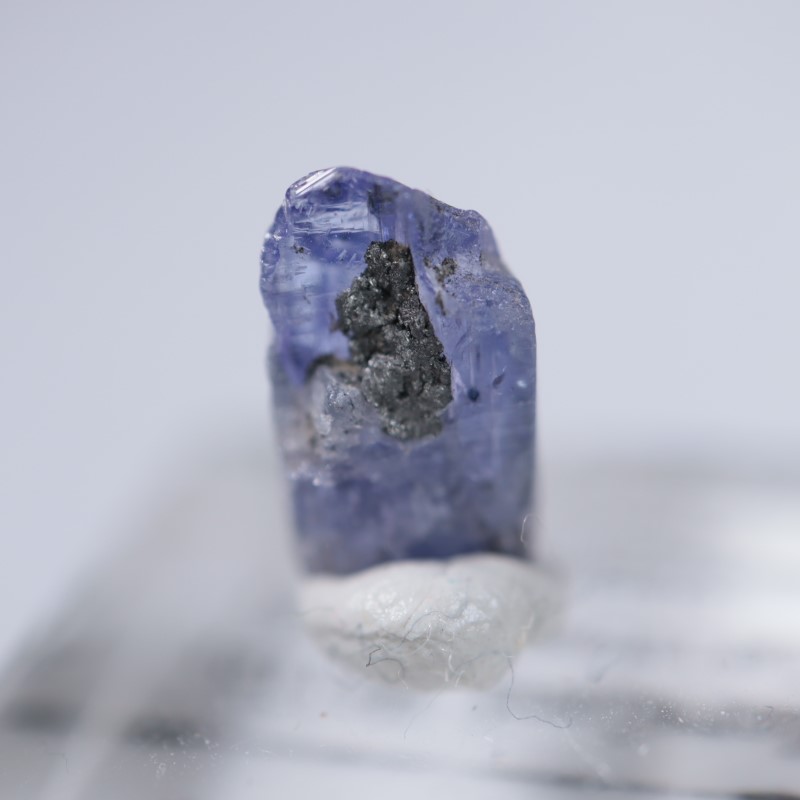 ���󥶥˥��������󥶥ʥ���