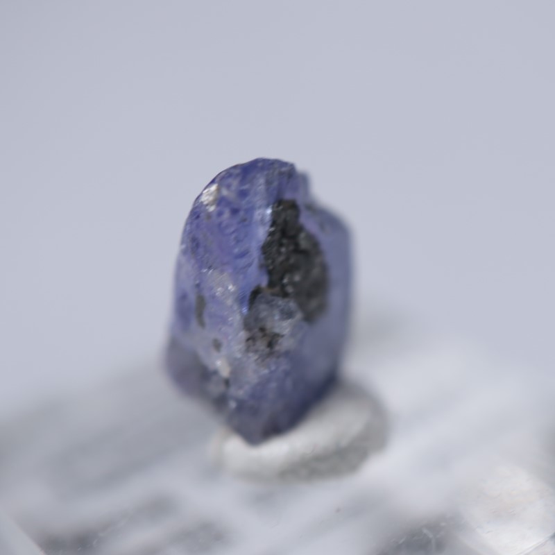 ���󥶥˥��������󥶥ʥ���