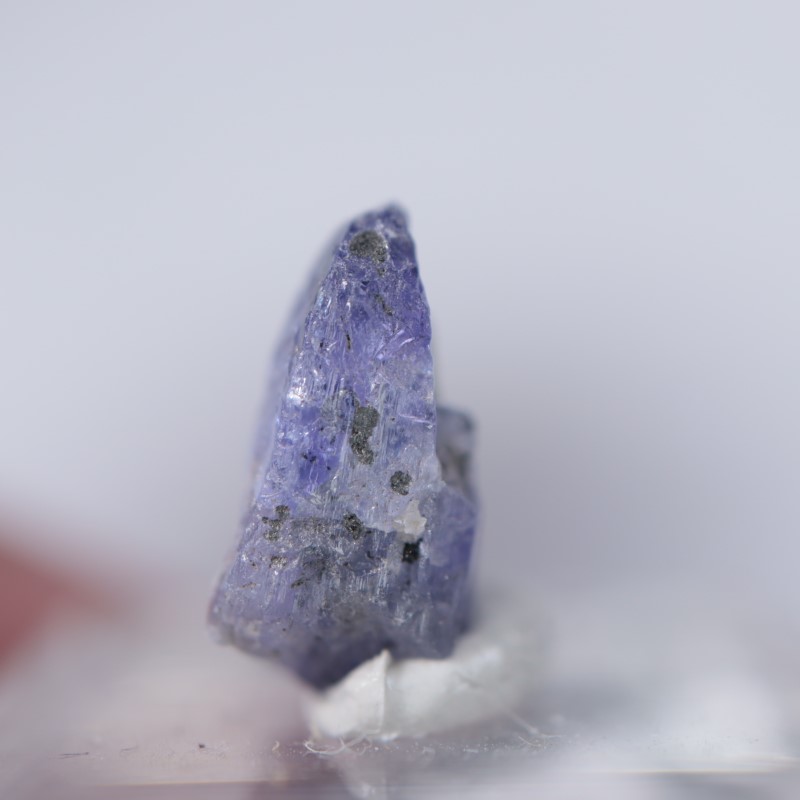 ���󥶥˥��������󥶥ʥ���