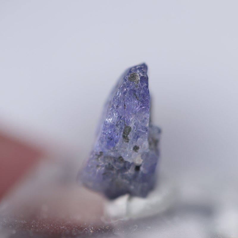 ���󥶥˥��������󥶥ʥ���