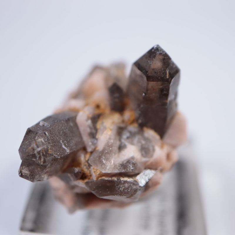 ������ɽ�����徽��Ĺ��