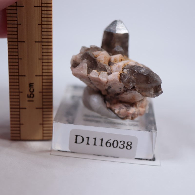 ������ɽ�����徽��Ĺ��