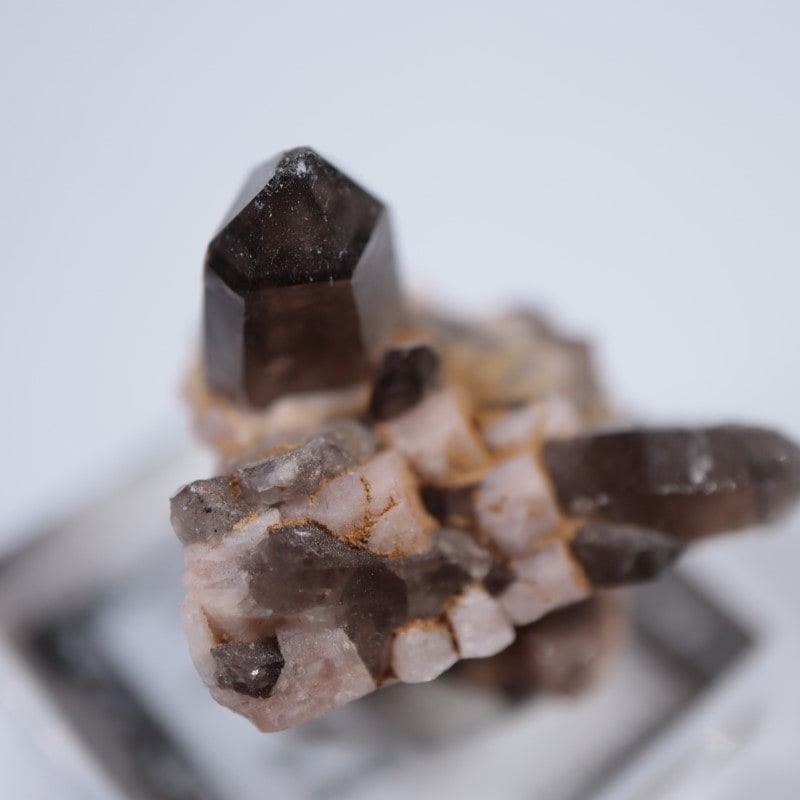 ������ɽ�����徽��Ĺ��