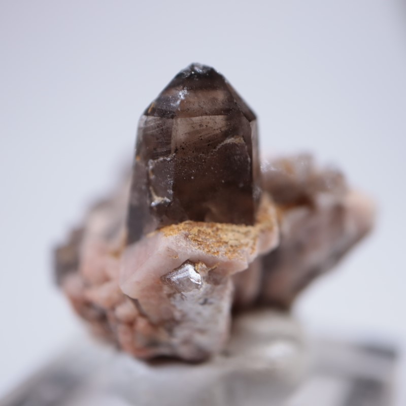 ������ɽ�����徽��Ĺ��