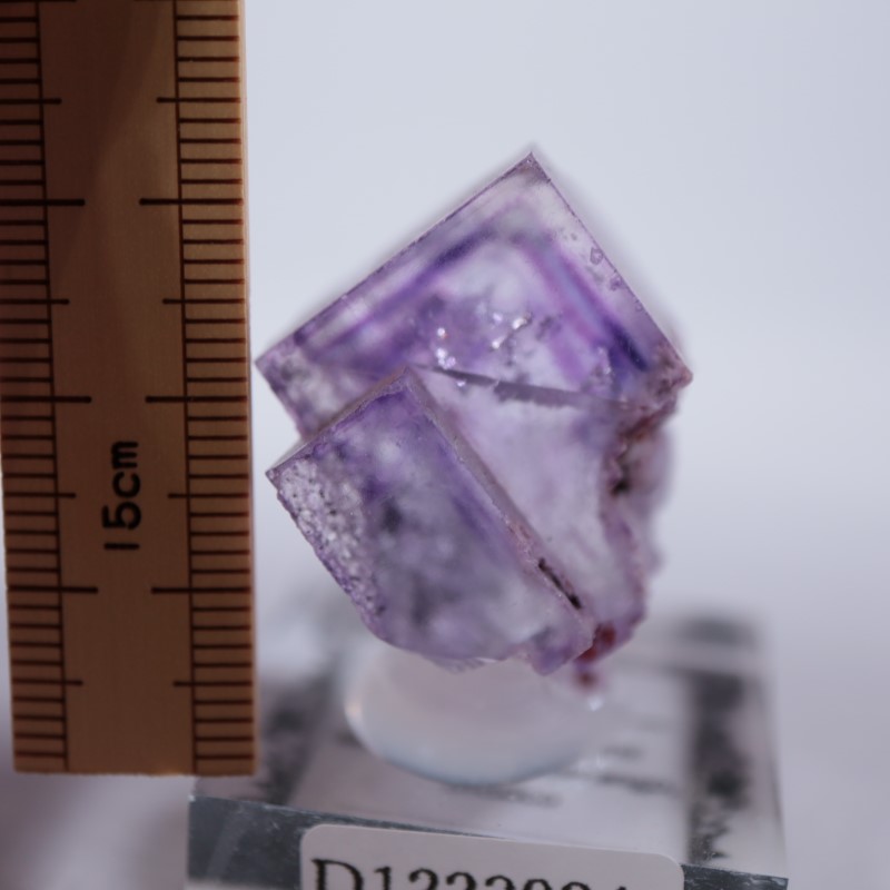 �ᥭ���������ե����饤��