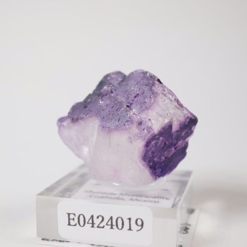 Muzquiz�����ե����饤��