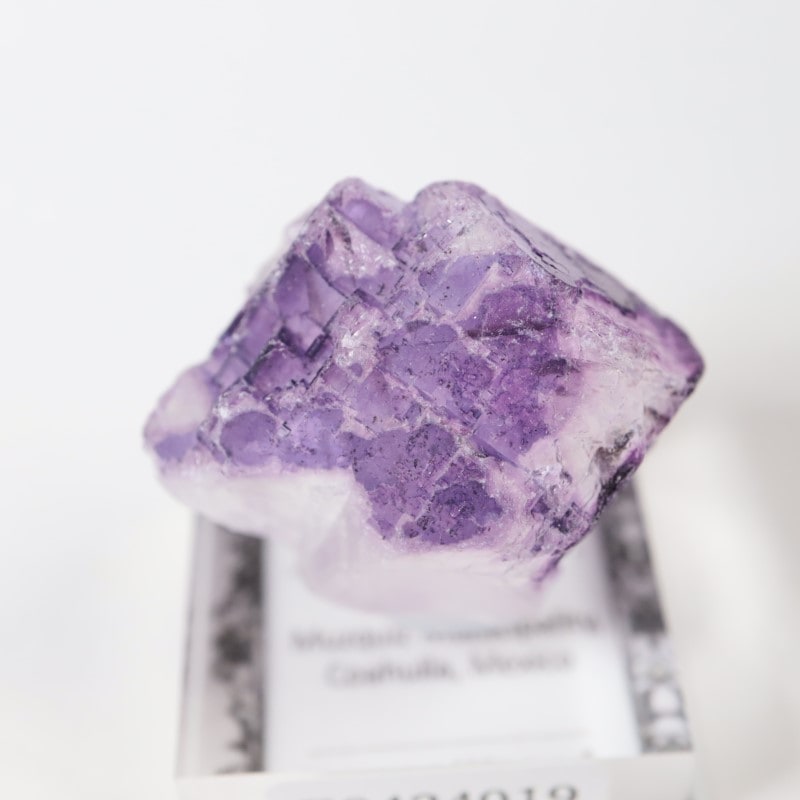 Muzquiz�����ե����饤��