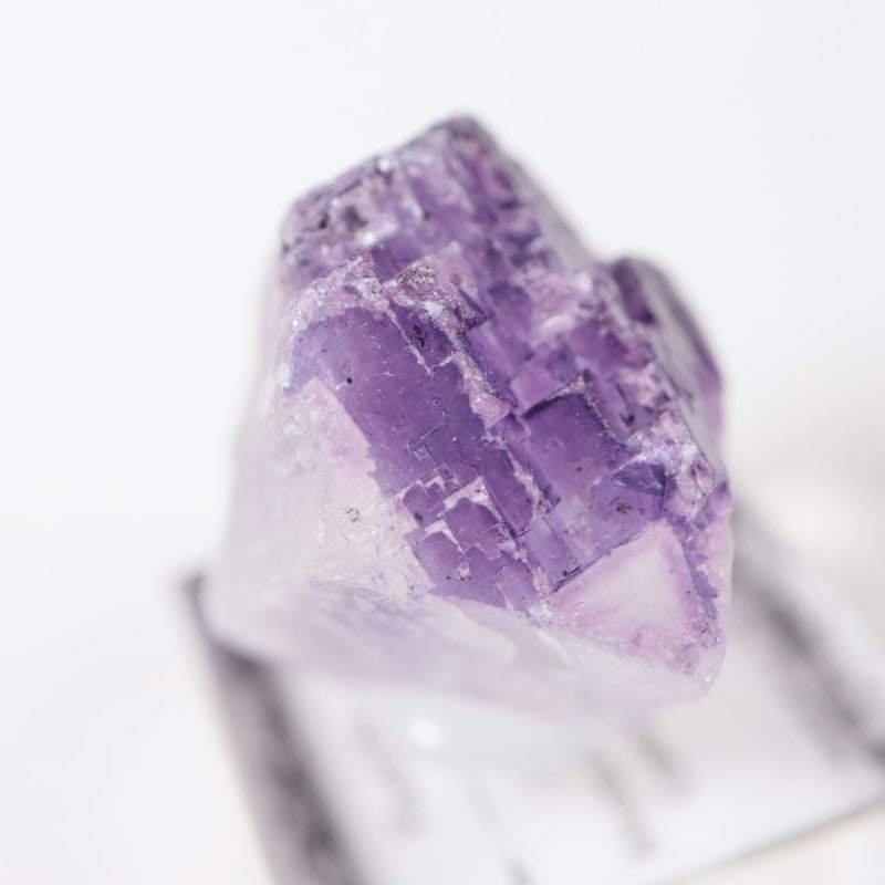 Muzquiz�����ե����饤��