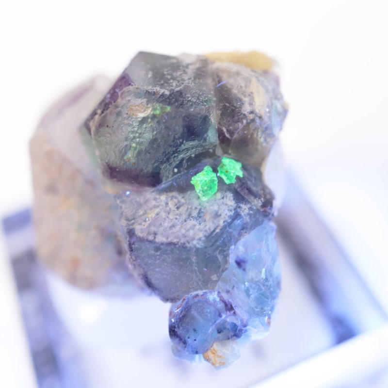 エロンゴ鉱山産 フローライト | 鉱物標本,ハ行,フローライト/蛍石