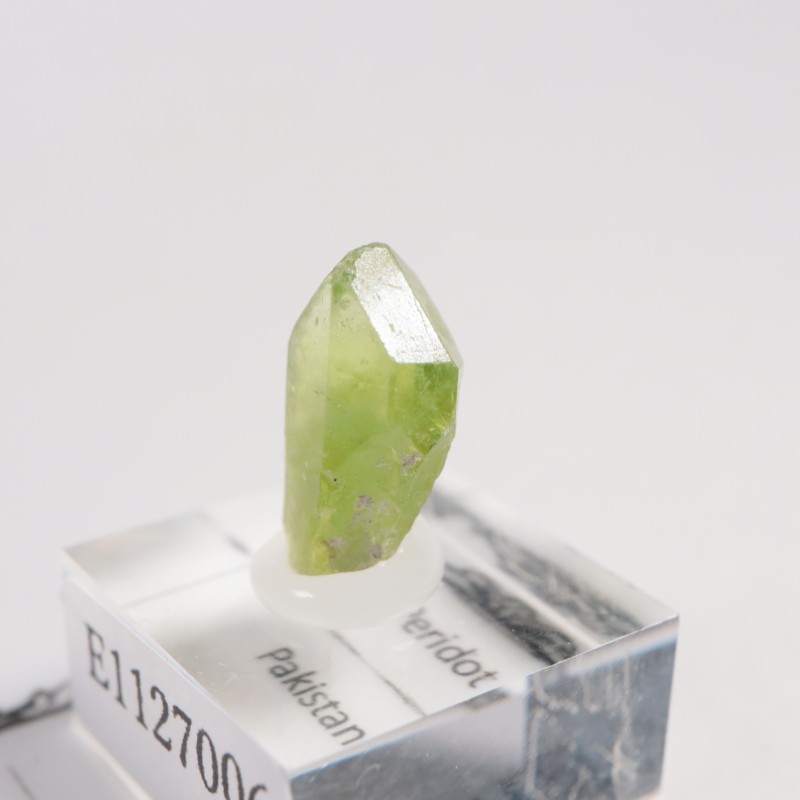 �ѥ������� �ڥ�ɥå�