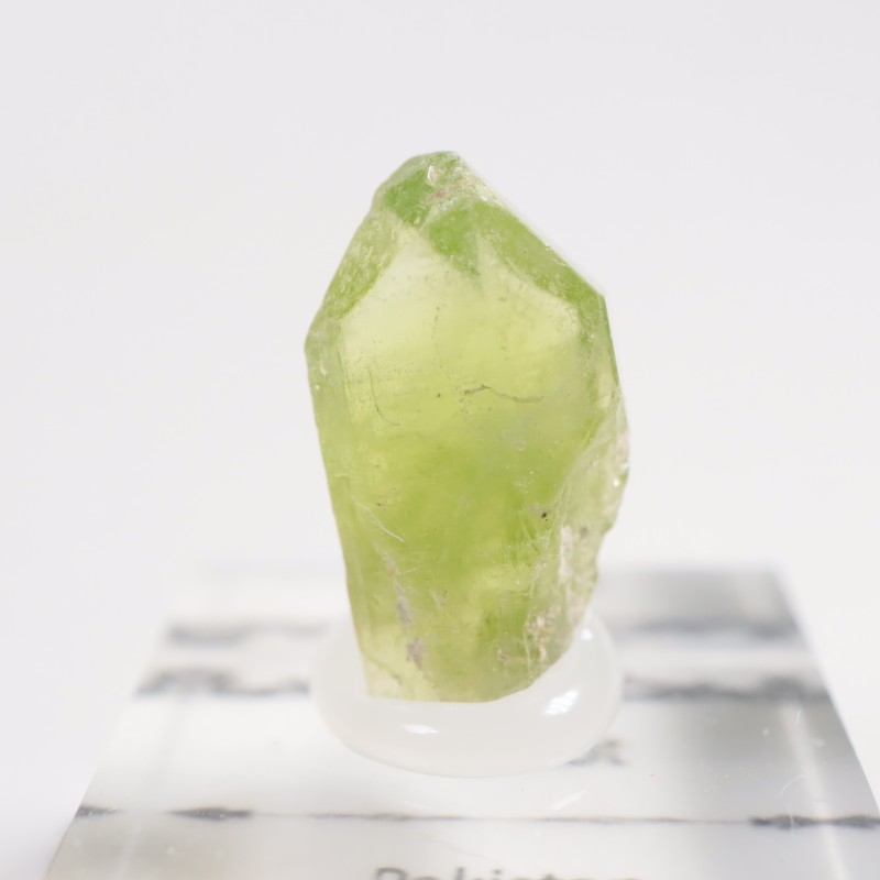 �ѥ������� �ڥ�ɥå�