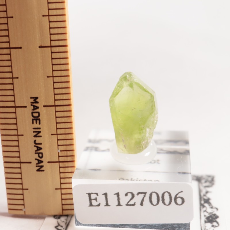 �ѥ������� �ڥ�ɥå�