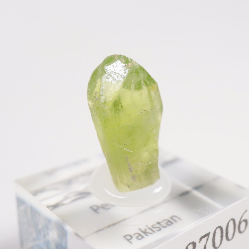 �ѥ������� �ڥ�ɥå�