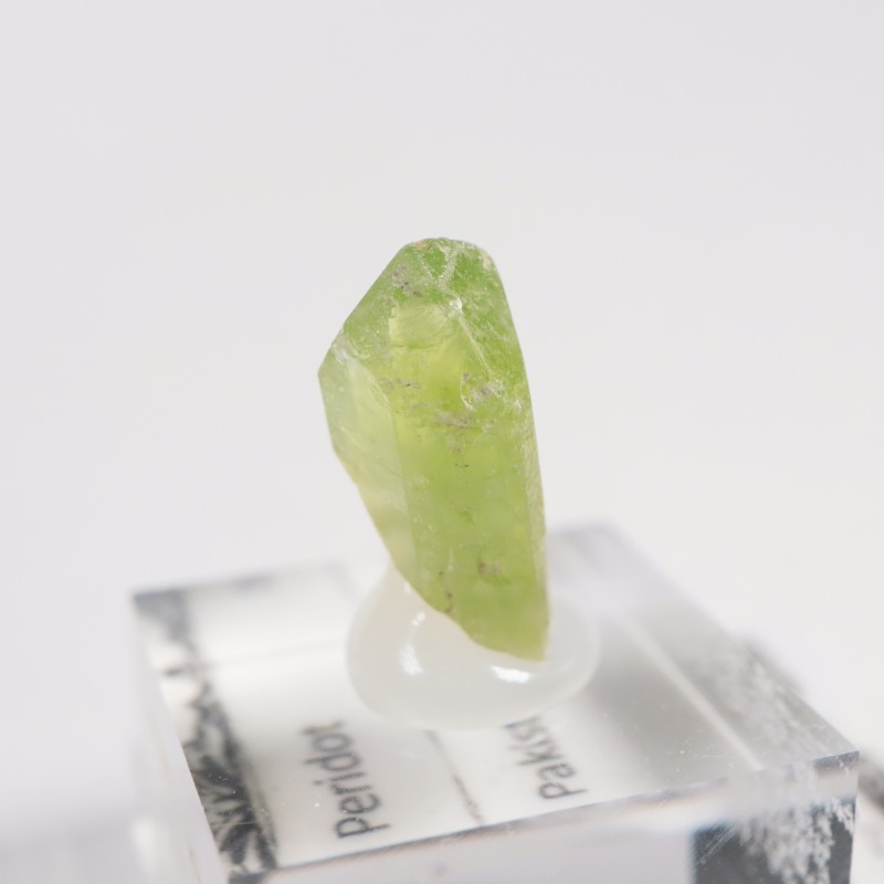 �ѥ������� �ڥ�ɥå�