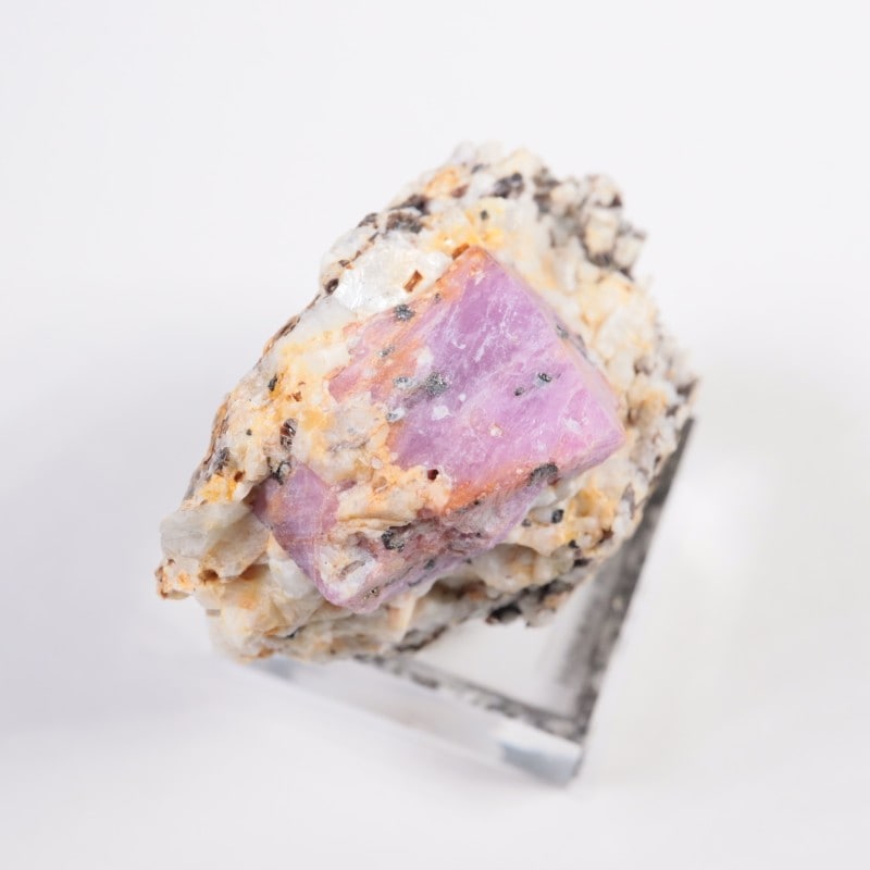 ���󥶥˥��� ��ӡ�