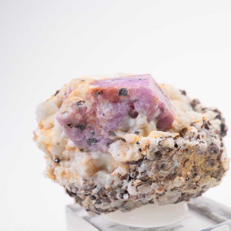 ���󥶥˥��� ��ӡ�