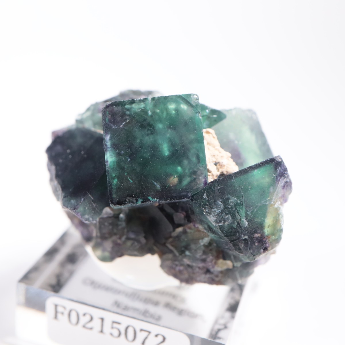 オコルス フローライト 鉱物標本 オコルス鉱山産 フローライト | 鉱物標本,ハ行,フローライト/蛍石