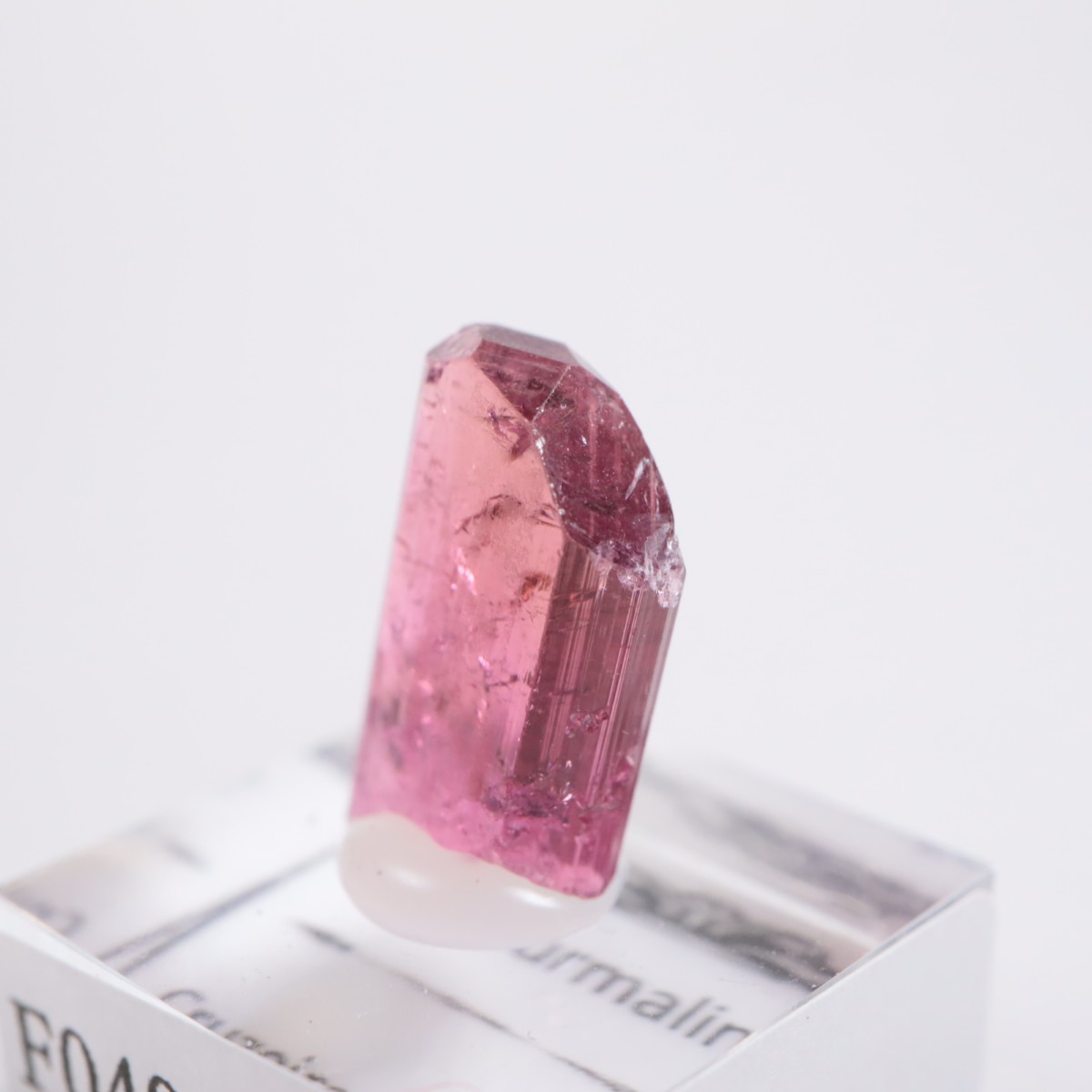 Cruzeiro�ۻ��� �ȥ�ޥ��