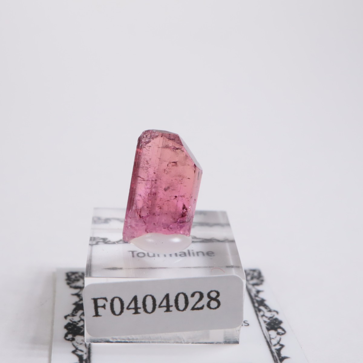 Cruzeiro�ۻ��� �ȥ�ޥ��