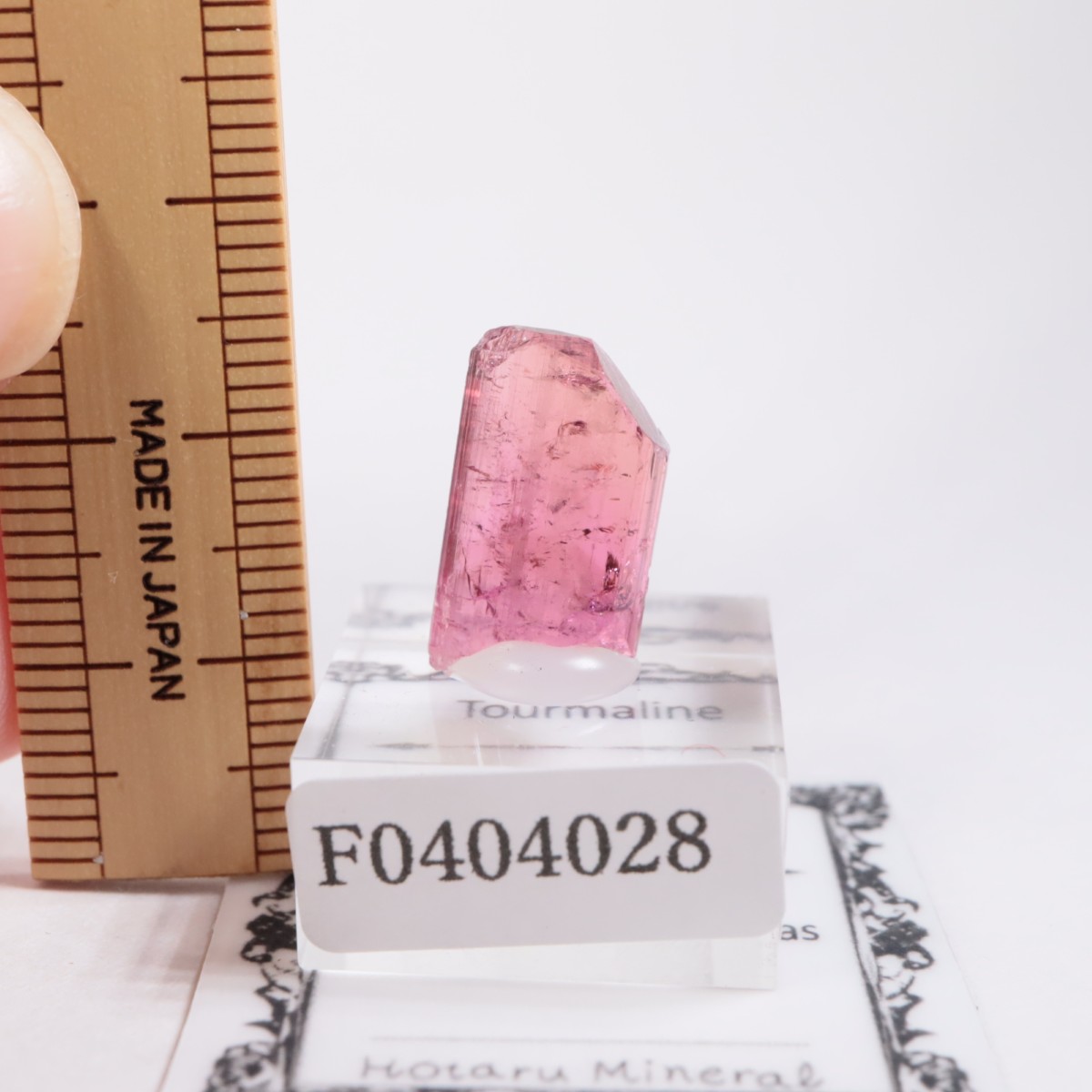 Cruzeiro�ۻ��� �ȥ�ޥ��