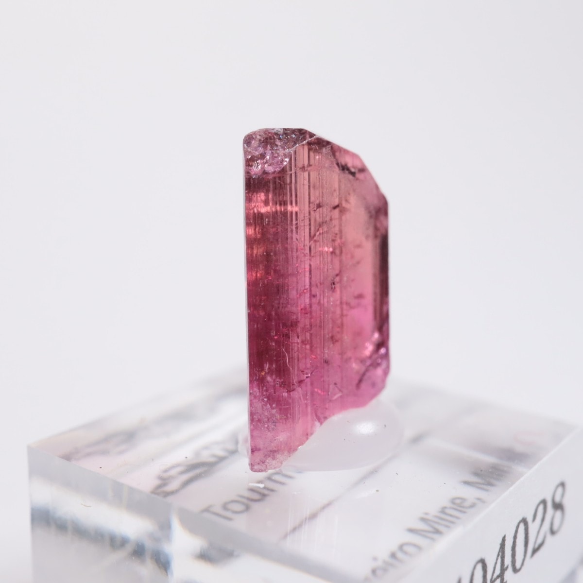 Cruzeiro�ۻ��� �ȥ�ޥ��