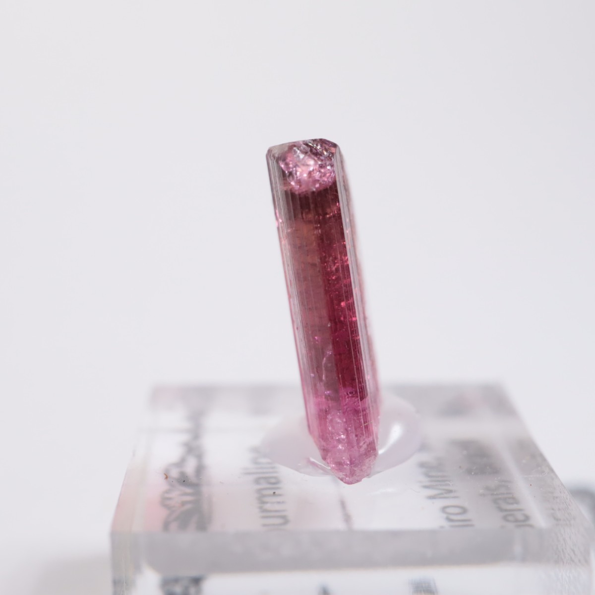 Cruzeiro�ۻ��� �ȥ�ޥ��