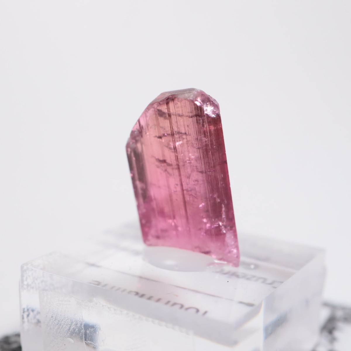 Cruzeiro�ۻ��� �ȥ�ޥ��