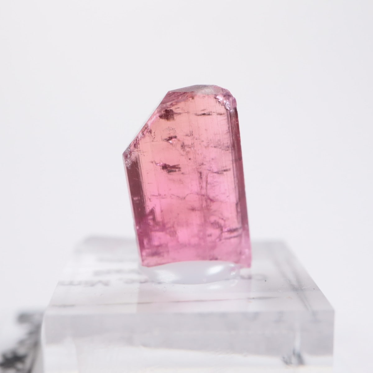 Cruzeiro�ۻ��� �ȥ�ޥ��