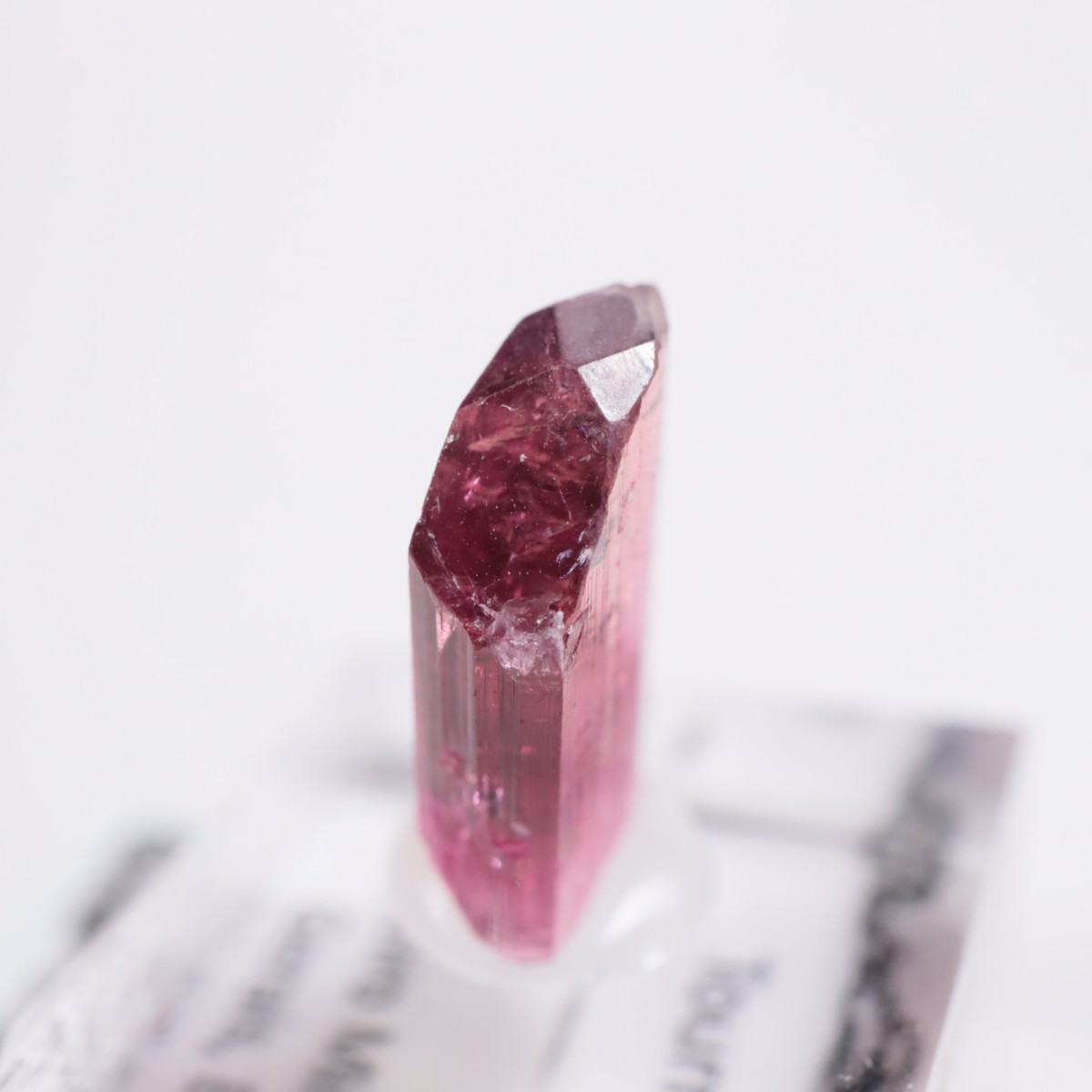 Cruzeiro�ۻ��� �ȥ�ޥ��