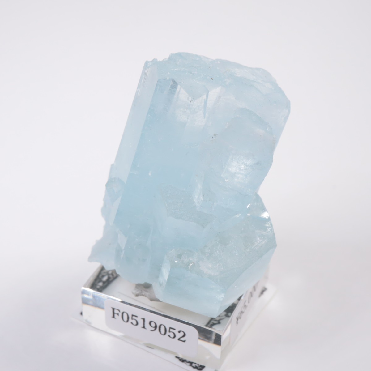 �ѥ������� �������ޥ��