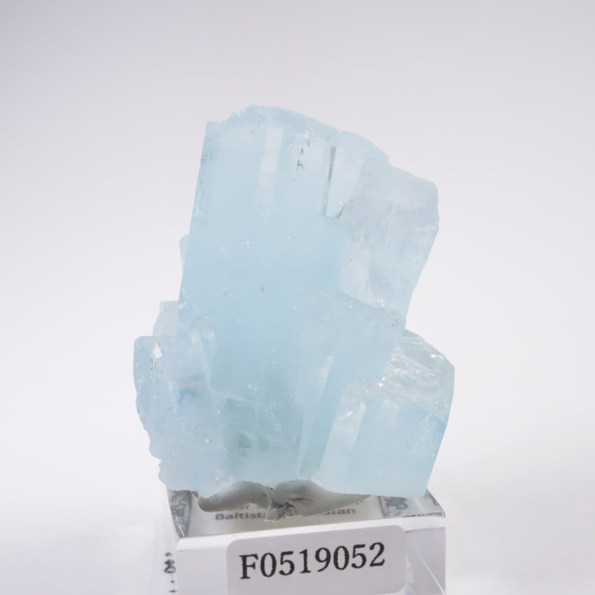 �ѥ������� �������ޥ��