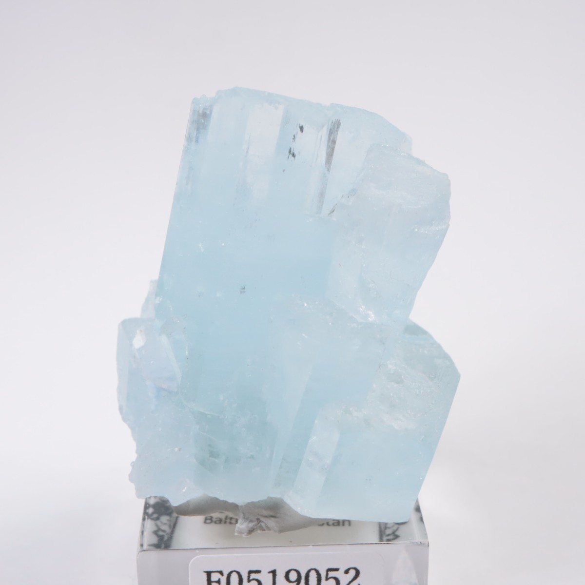 �ѥ������� �������ޥ��