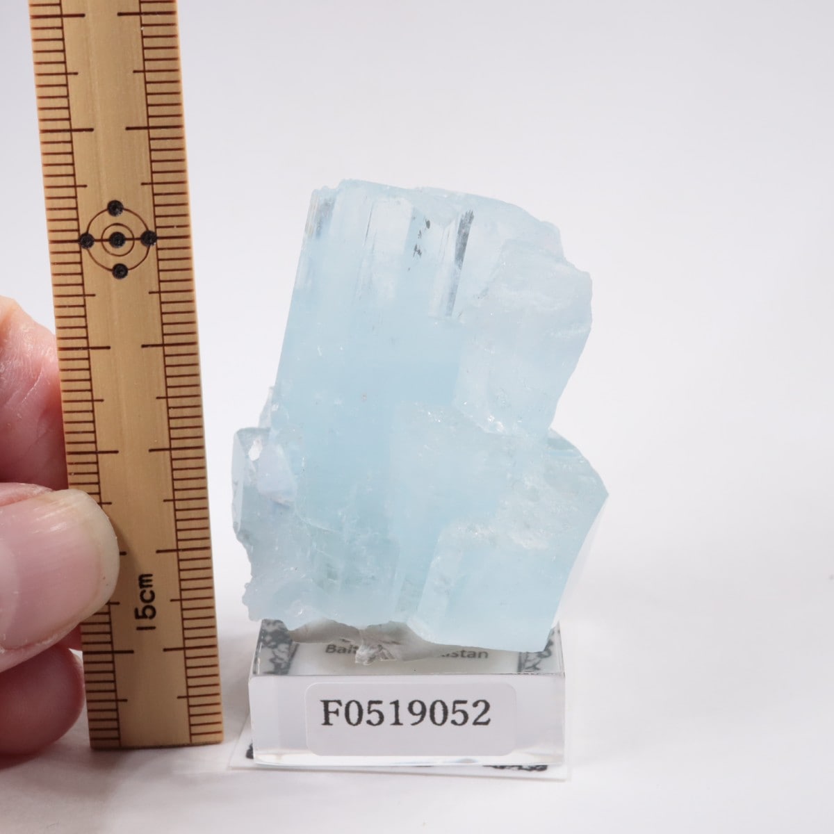 �ѥ������� �������ޥ��