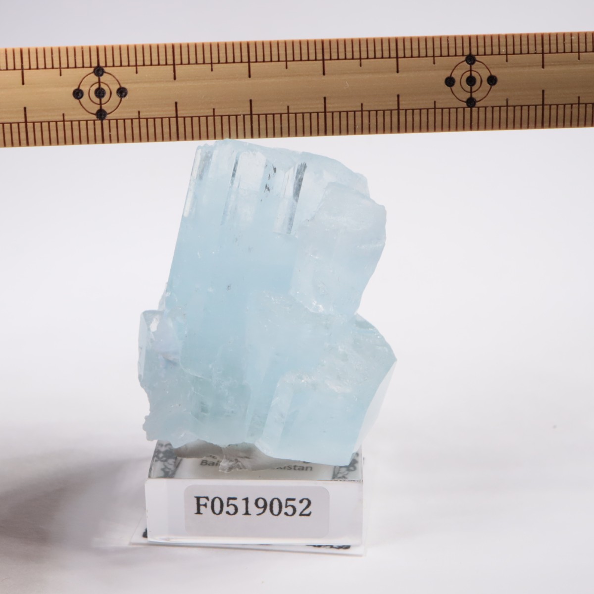 �ѥ������� �������ޥ��