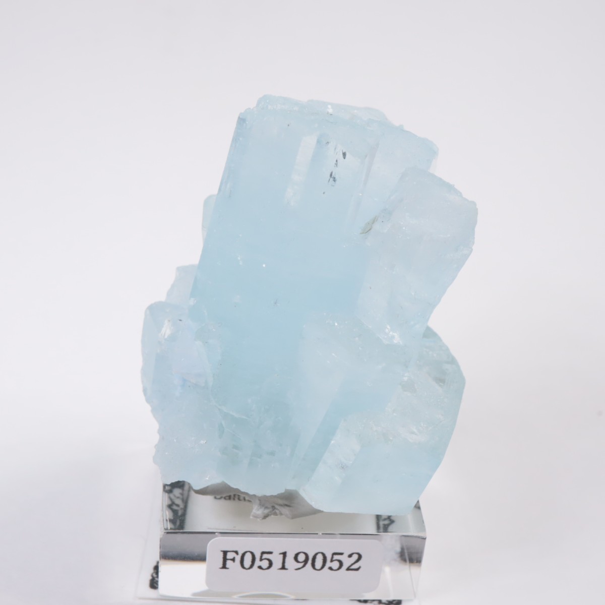 �ѥ������� �������ޥ��