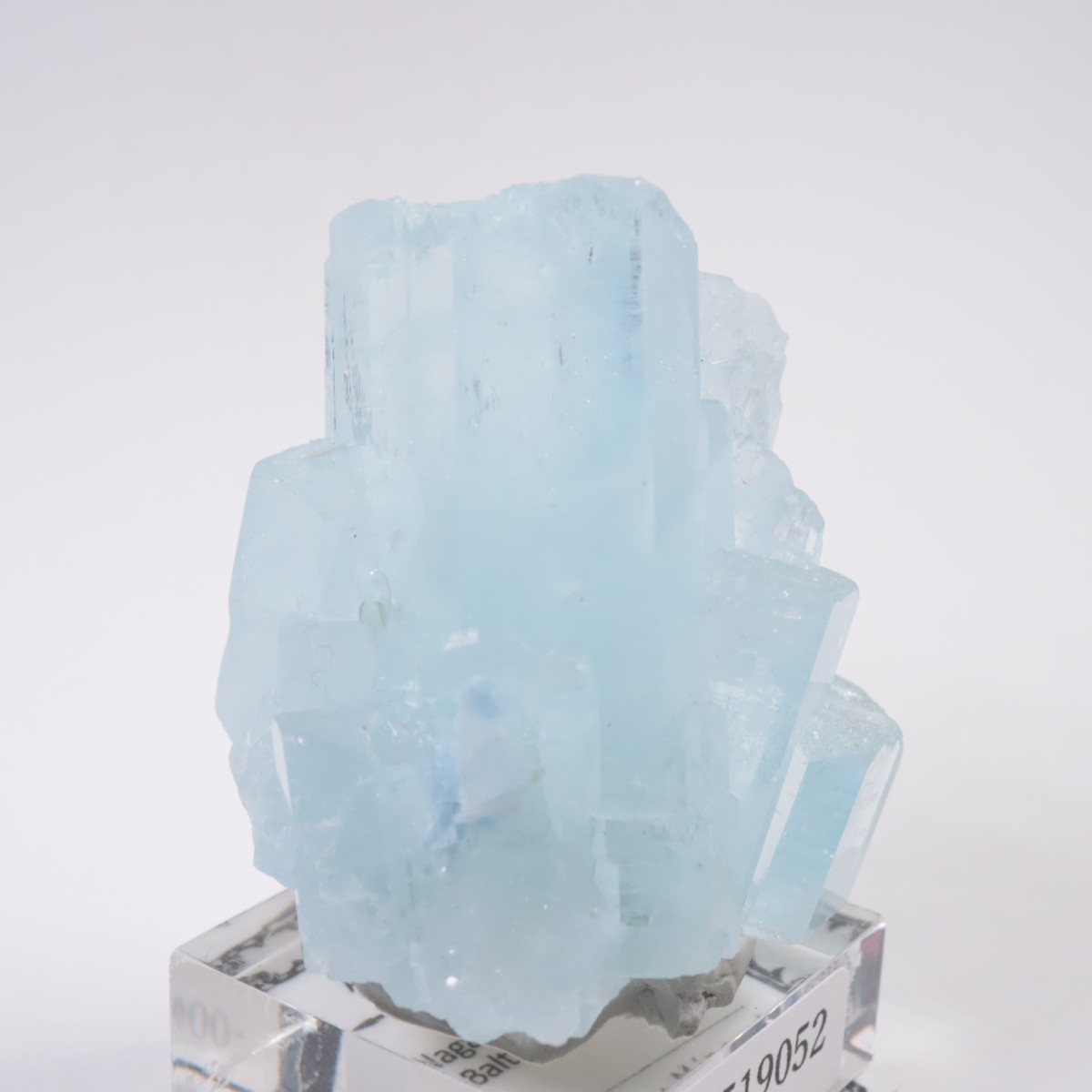 �ѥ������� �������ޥ��