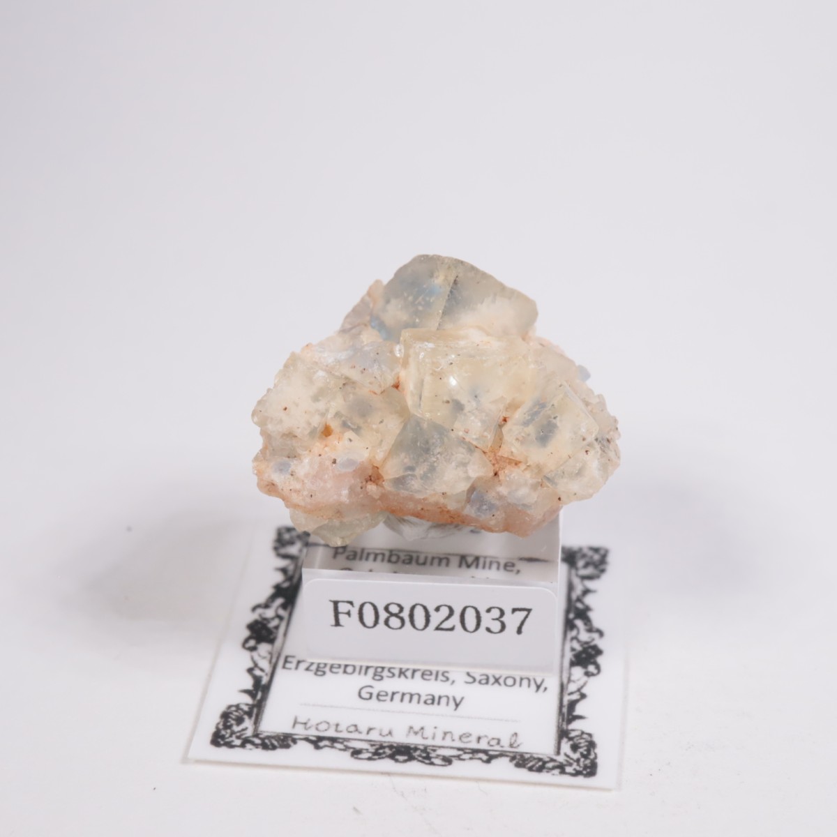 ドイツ産 フローライト | 鉱物標本,ハ行,フローライト/蛍石 | ほたるみ