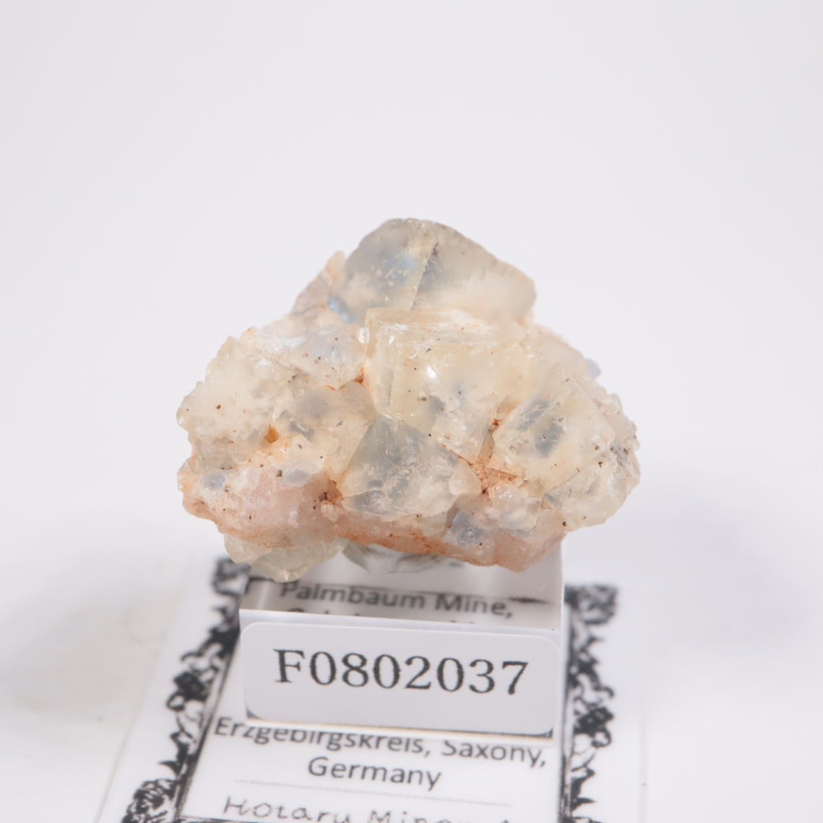 ドイツ産 フローライト | 鉱物標本,ハ行,フローライト/蛍石 | ほたるみ
