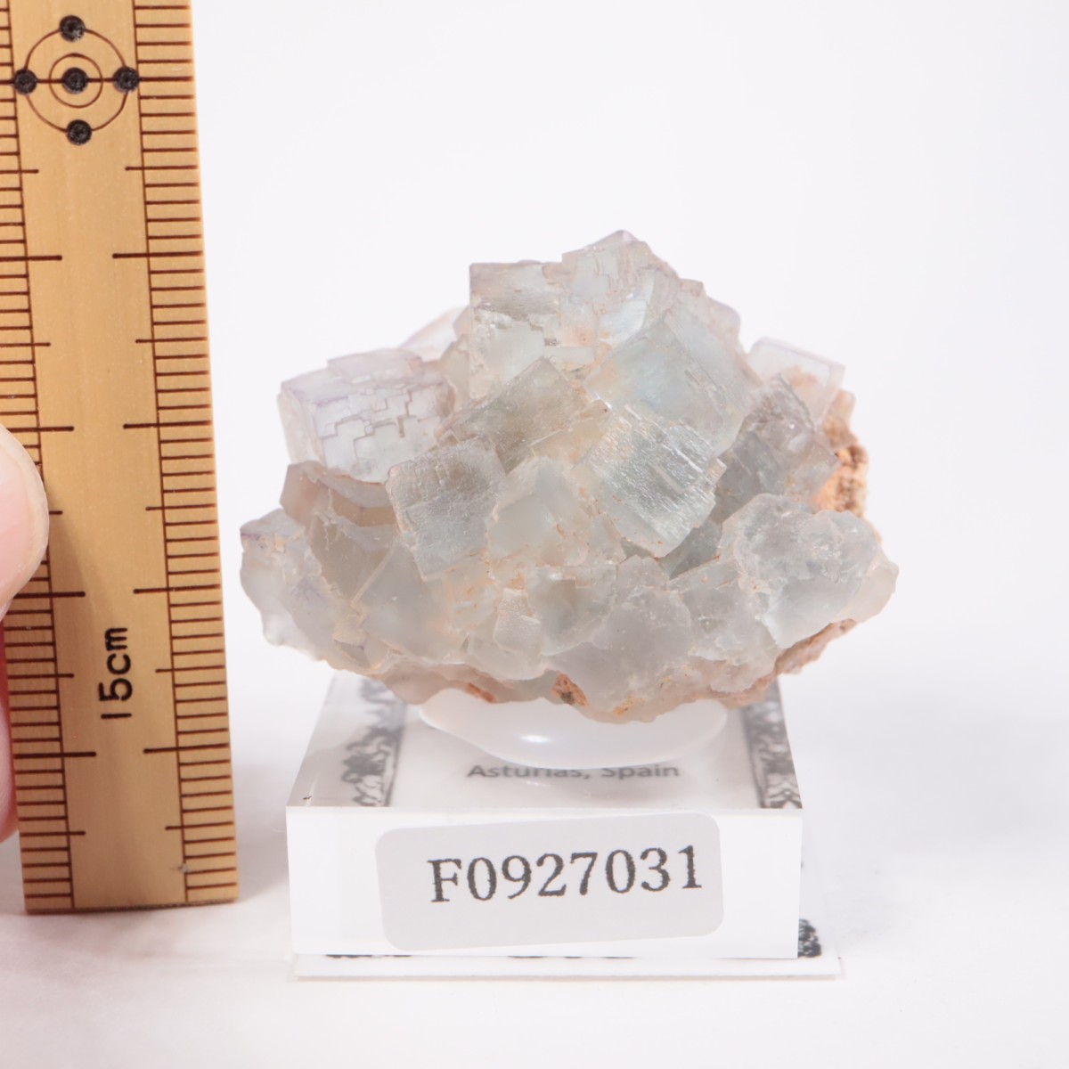 ���ڥ��� �ե����饤��