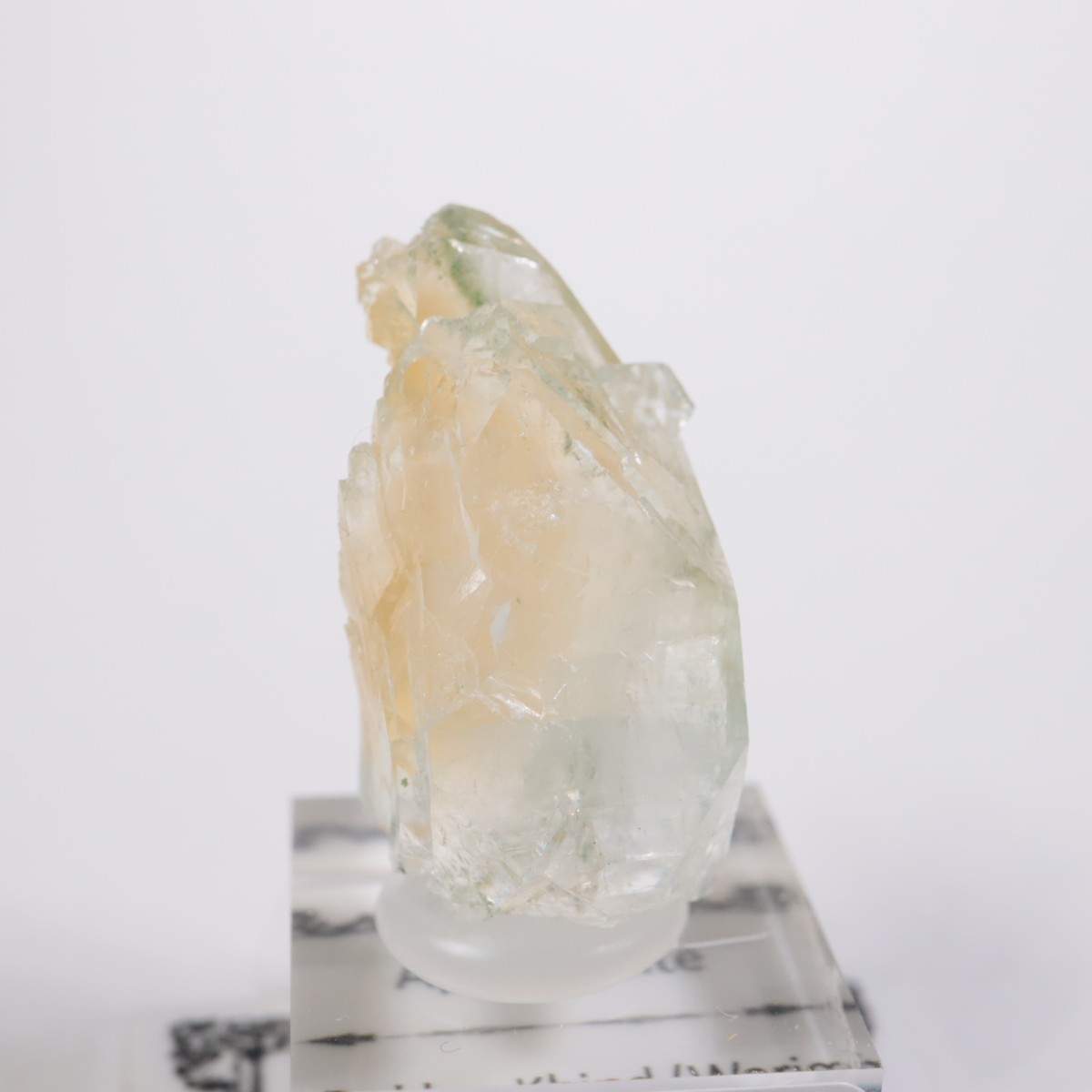 ����ɻ� ���ݥե��饤��