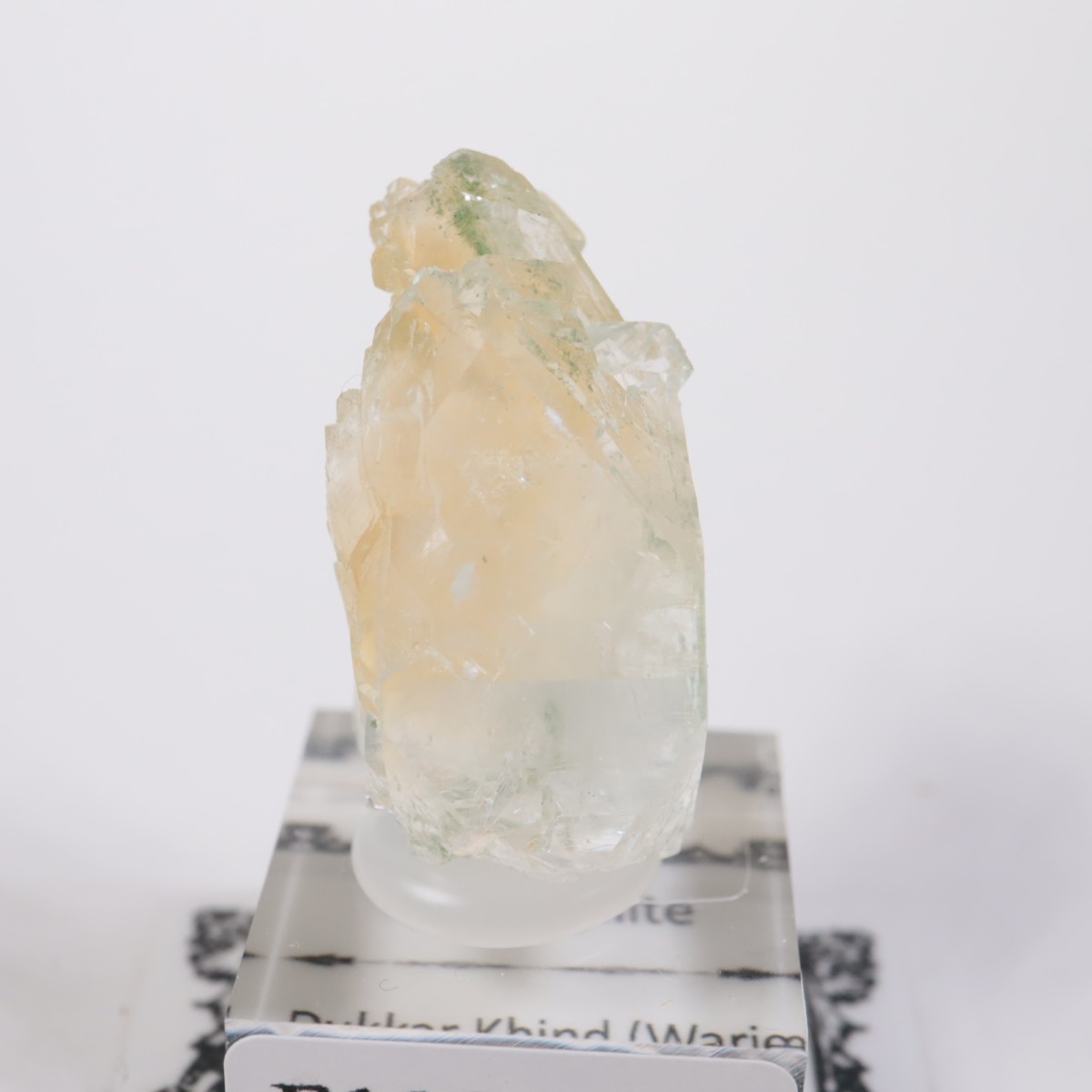 ����ɻ� ���ݥե��饤��