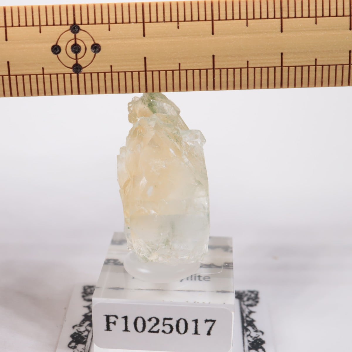 ����ɻ� ���ݥե��饤��