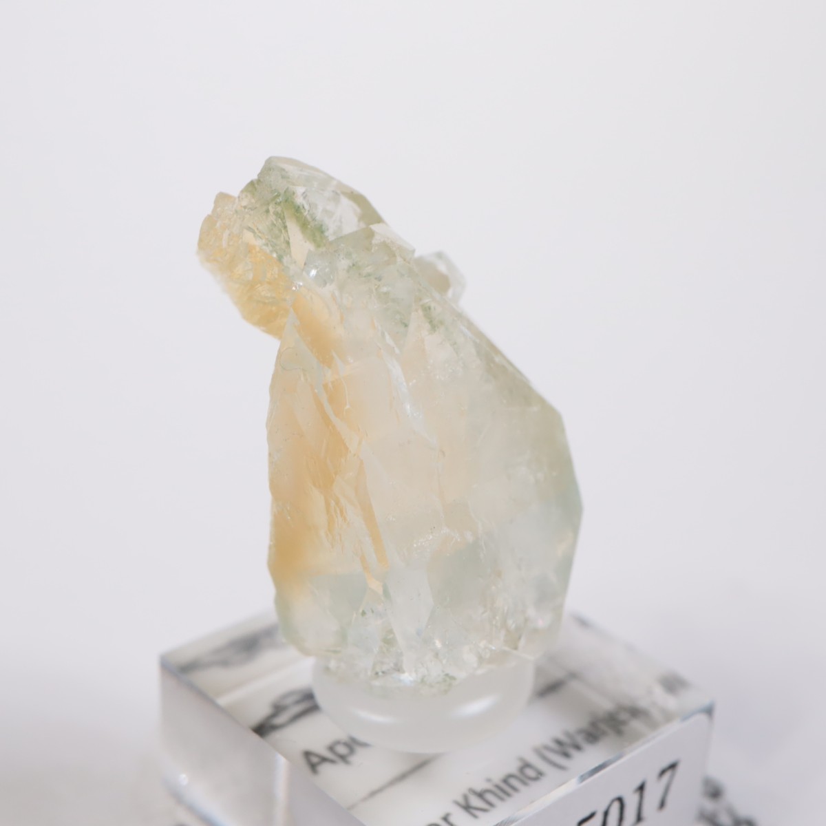 ����ɻ� ���ݥե��饤��